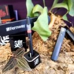 cannabis mindful living